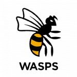 Wasps rugby